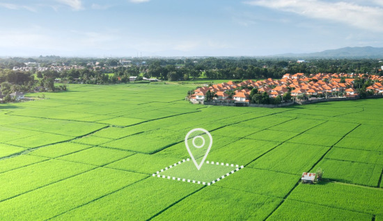 Trio Kazanç nedir? Arsa bir Trio Yatırım mıdır?