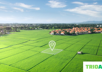 ARSANIZA DEĞER KATIYORUZ