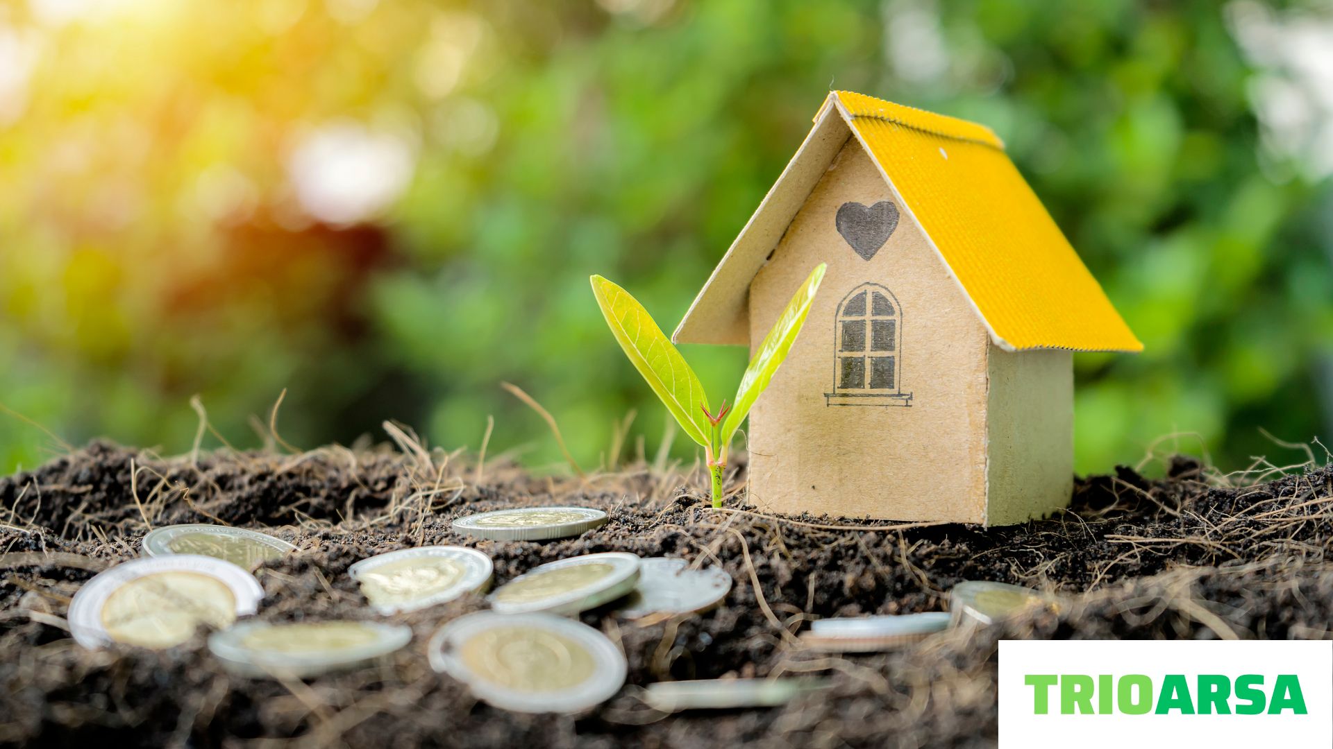 Fiyat artışı ve değer artışı nedir?