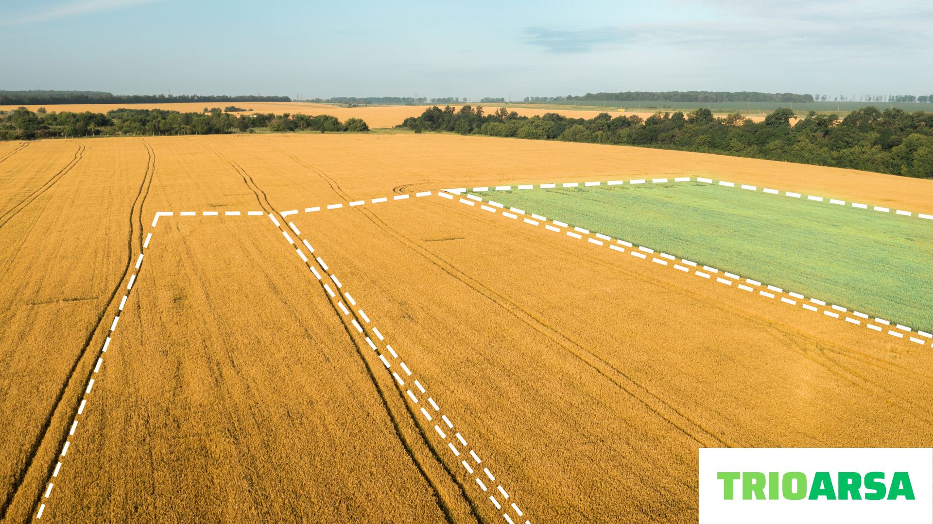 İmar ve ifraz nedir?